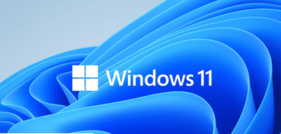 Windows 11 VMware 虚拟机镜像